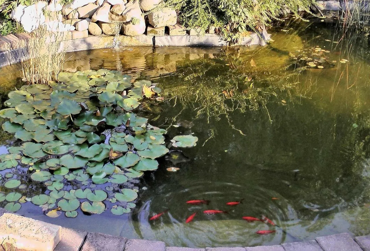 Green Lake Airport Apartments 베체스 0*,  헝가리